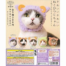 【扭蛋屋】療癒胖胖犬公仔《全7款》 歷史價格詳細信息