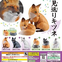 【狐狸姬】親親蝴蝶腰封腰帶皮帶(可選色 單腰封) 歷史價格詳細信息
