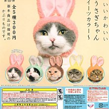 【扭蛋屋】兔子營養午餐《全5款》 歷史價格詳細信息