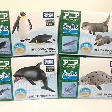 【3C小苑】台灣製 40*50 洗衣袋 細網 粗網 角型 可洗 外套 牛仔褲 內衣 內褲 衣服 生活用品 SGS檢驗合格 歷史價格詳細信息
