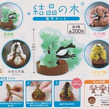 【奇蹟@蛋】4D master人體解剖圖鑑-大型人體器官醫學教材析、組合分解拼圖 歷史價格詳細信息