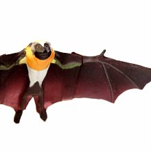 日本 Furuta 雙味果汁果凍 225g x 4袋 蠟筆小新 三麗鷗 歷史價格詳細信息