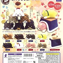 忠犬麻糬柴玩偶S(芝麻)【Donki日本唐吉訶德】 歷史價格詳細信息