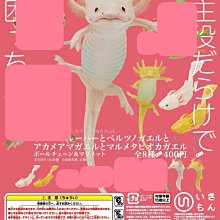 【扭蛋屋】角落生物發光房間組《全6款》 歷史價格詳細信息