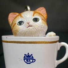 D-11 櫃 現狀品 ：　35 PEPSI 球鞋 瓶蓋 A3 TWINS TRIKES 深藍　天富 歷史價格詳細信息