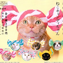 奇譚俱樂部 NTC生物圖鑒 海蜇 水母掛件吊飾 深海生物 扭蛋半米潮殼直購 歷史價格詳細信息