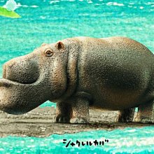 現貨 動物星球x朵朵窩 果物精靈系列 荔枝狗 潮流 歷史價格詳細信息