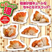 虎斑貓Bon Bon與世界動物朋友的奇遇｜漫遊者文化 歷史價格詳細信息