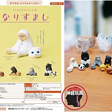 【神經貓】可折疊帳篷寵物用品貓咪產房(寵物帳篷/寵物產房/寵物籠/寵物窩/寵物圍籠) 歷史價格詳細信息