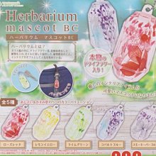 【奇蹟@蛋】 J.DREAM (轉蛋) 日本象印廚房用品模型P3 全4種整套販售 NO:7478 歷史價格詳細信息