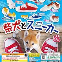 運動柴健康運動巾LF007-22*100cm-多色任選 歷史價格詳細信息