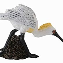 COLLECTA動物模型 - 恐龍海怪禮盒組(5入) 歷史價格詳細信息