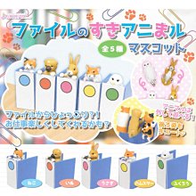 全新日影《偷窺慾室》DVD 蒼井空 遠藤雅 河景青葉 月光，讓女孩的愛慾基因蠢蠢欲動&hellip; 歷史價格詳細信息