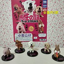 【小哲公仔】新品 EPOCH (扭蛋) 懶洋洋柴犬造型公仔 全套共6款299元＜現貨＞ 歷史價格詳細信息