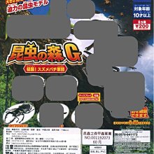 昆蟲森林 1相撲大賽 + 2游泳比賽 多田智 親子天下 歷史價格詳細信息