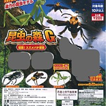 昆蟲森林 1相撲大賽 + 2游泳比賽 多田智 親子天下 歷史價格詳細信息