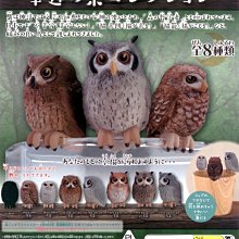 杯子蛋糕幸福上桌：糕體、糖霜到裝飾，輕鬆完成【金石堂】 歷史價格詳細信息