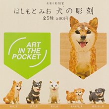 【轉售日本專櫃】ai1935-21低腰三角褲性感內褲(W白)-XL號 歷史價格詳細信息