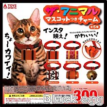 現貨 日本五味gex活性碳過濾濾棉3入 薄型替換棉❤️愛水狂想 歷史價格詳細信息