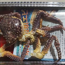 yujin  nemo 海底 魚 公仔 扭蛋 歷史價格詳細信息