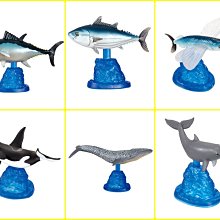 飛鯨 betafpv cetus pro無刷版穿越機 新手入門版fpv 歷史價格詳細信息