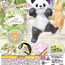 【扭蛋屋】小小兵大頭迴力車《全5款》 歷史價格詳細信息