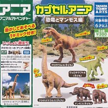 T.ARTS 動物照片分享中 全5款 不拆售 扭蛋 轉蛋 代理版 豬帽子模型玩具 歷史價格詳細信息