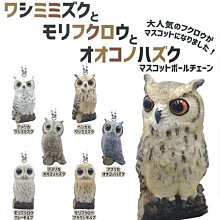 【扭蛋屋】貓咪收集桌上小物4 《全7款》 歷史價格詳細信息