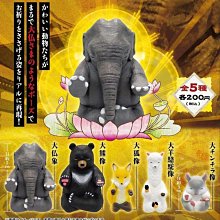 【一手動漫】日本 正版   轉蛋  扭蛋  寫實動物大頭指環 戒指 全12種 老虎 熊貓 獅子 袋鼠 [檢索休眠動物園} 歷史價格詳細信息