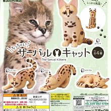 【扭蛋屋】貓咪收集桌上小物4 《全7款》 歷史價格詳細信息
