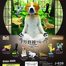 【扭蛋屋】貓村i love cat-喵日記《全8款》~一中盒8入 歷史價格詳細信息