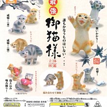 【扭蛋屋】貓咪收集桌上小物4 《全7款》 歷史價格詳細信息