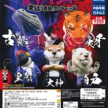【扭蛋屋】生物大圖鑑-鯨魚《全4款》 歷史價格詳細信息