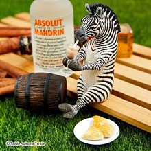 買醉在家侍酒師的家庭葡萄酒品飲指南 (日)佐藤陽一 著; 呂靈芝 譯; 2020-7 新星出版社 歷史價格詳細信息