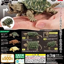 日本正版現貨????款式尺寸齊全 XS 2XL KAWS 最終聯名 Uniqlo 男裝 童裝 提袋 UT 情侶裝 BFF 歷史價格詳細信息