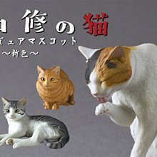 奇譚俱樂部 NTC生物圖鑒 海蜇 水母掛件吊飾 深海生物 扭蛋半米潮殼直購 歷史價格詳細信息