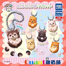 T-ARTS 圓滾滾好朋友 精靈寶可夢 波加曼 TA70123 歷史價格詳細信息