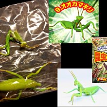 Re-MeNT 大容量電冰箱模型 冷藏庫 全1種 微型迷你袖珍系列 雪櫃 歷史價格詳細信息