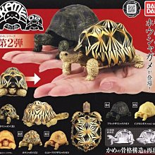 【正版萬代】大特 E賞 一番賞  龍珠 正品 歷史價格詳細信息