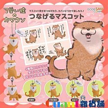 全新可愛吊飾 小白鯨 公仔 沐浴玩具-也可當鑰匙圈 歷史價格詳細信息