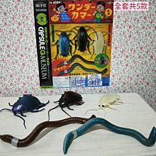 【小哲公仔】7-11 Hello Kitty 三美聯名集點《電熱美髮梳》每個 399元＜現貨＞ 歷史價格詳細信息