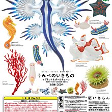 【扭蛋屋】生物大圖鑑-鯨魚《全4款》 歷史價格詳細信息