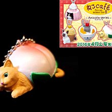 喵喵咖啡：模擬經營貓咪餐廳 21億鑽石 非 破解【加藤超の金手指】 歷史價格詳細信息