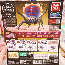 台中玩具部落客 現貨 轉蛋 奇譚俱樂部 吐槽自己 白熊 杯緣子 熊 公仔 扭蛋 一味 單售價 挑款 歷史價格詳細信息