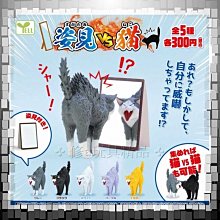 ✤毛領子✤ 毛領單買仿真狐貍毛貉子毛毛領子大衣羽絨派克服帽條單賣通用女士 歷史價格詳細信息