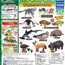 【扭蛋屋】美少女戰士變身鏡盒《全5款》 歷史價格詳細信息