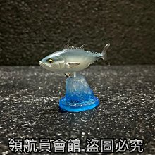 海洋生物愛拍照-潛進合界[軟精裝] 歷史價格詳細信息