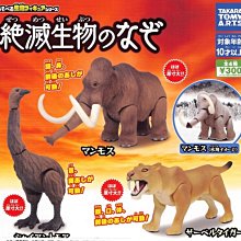 【奇蹟@蛋】4D master人體解剖圖鑑-大型人體器官醫學教材析、組合分解拼圖 歷史價格詳細信息