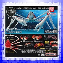 萬代正版 高達合集 一共12體 10-25一個 歷史價格詳細信息