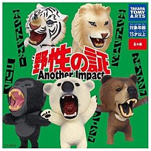 正版 轉蛋扭蛋 七龍珠超 vs DB 17 龍珠 盒玩 達爾 神 孫悟飯 布羅利 GT 孫悟空 孫悟天公仔 HG 全4款 歷史價格詳細信息